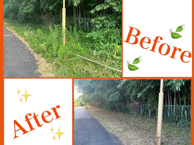 10年以上の実績と資格保有者による幅広い対応力！草刈りなら世界にトシちゃんへサービスの画像