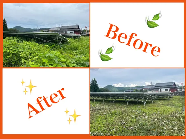 10年以上の実績と資格保有者による幅広い対応力！草刈りなら世界にトシちゃんへサービスの画像