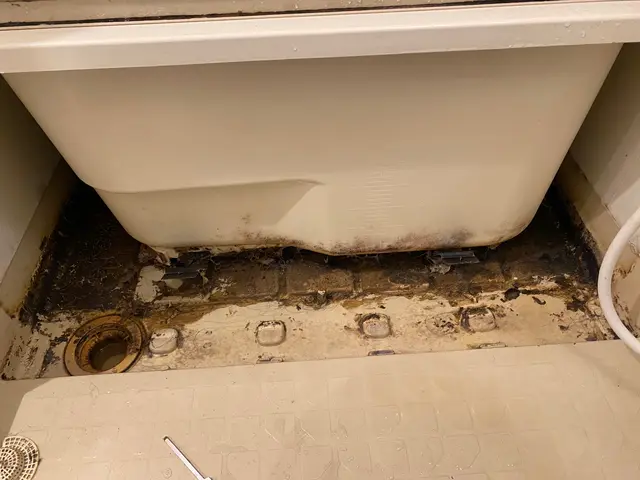 【作業実績1000件超！】◎アフターも責任対応　◆非喫煙者　□戸建て料金別途記載サービスの画像