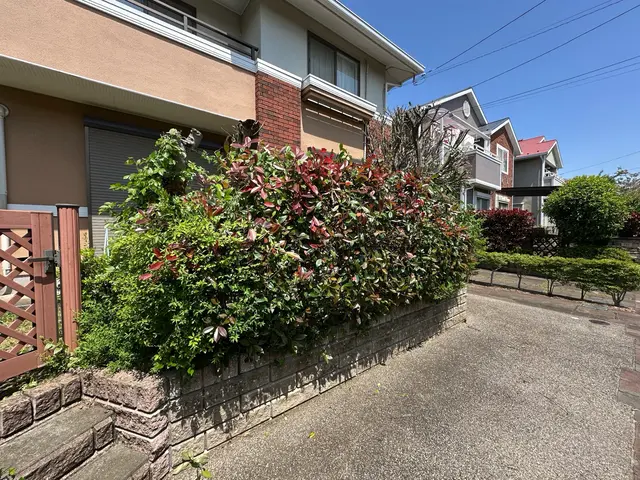 庭木1本から承ります！日曜祝日でも向かいます！サービスの画像