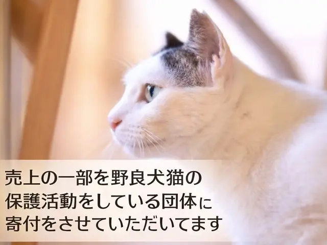 UFB高圧洗浄&エコ洗剤★3000円の抗菌防臭防カビコート無料★女性スタッフ対応サービスの画像