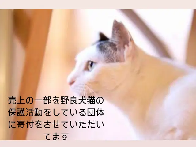 UFB高圧洗浄&エコ洗剤★3000円の抗菌防臭防カビコート無料★女性スタッフ対応サービスの画像