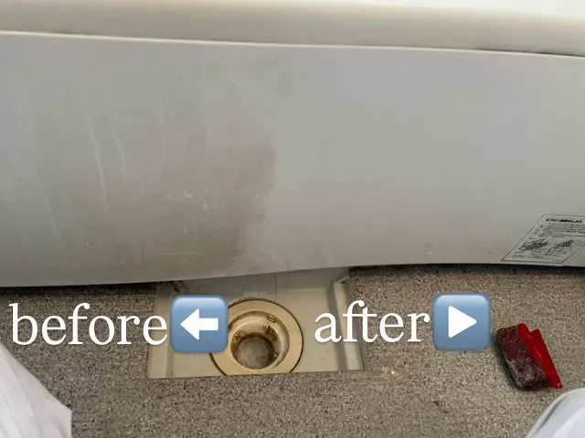 【1月限定大特価】安いのに隅まで綺麗！？！？大手お掃除店舗の技術でピカピカに！！サービスの画像