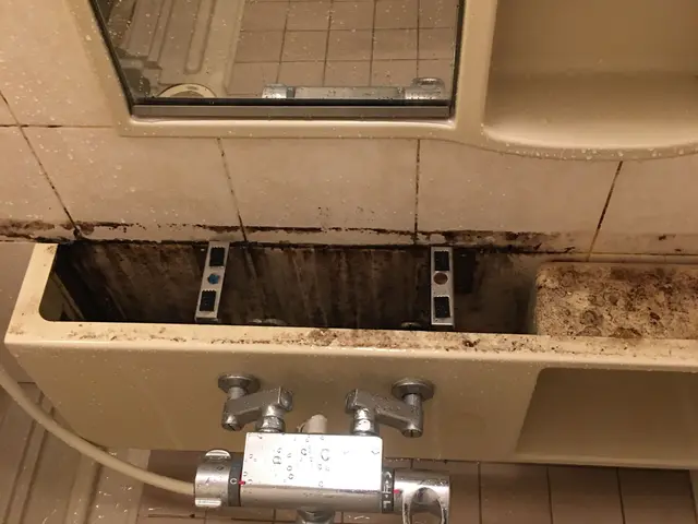 浴室ハウスクリーニングサービスの画像