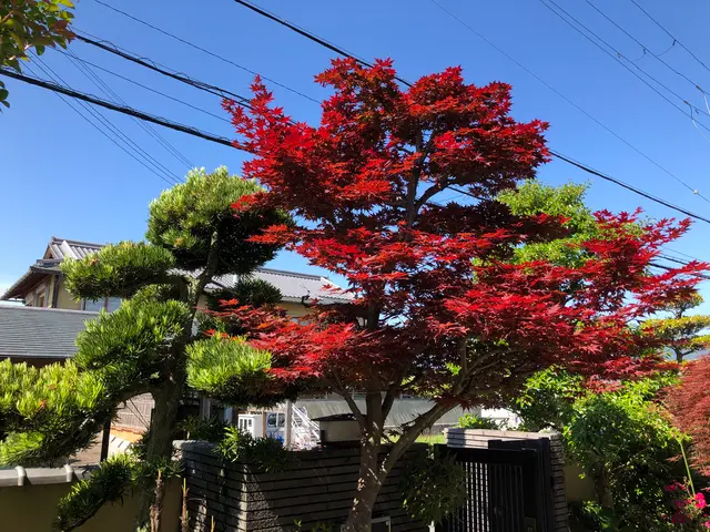 【16年の業歴】無料御見積り可☆小さなご相談もお気軽に☆損害保険加入済みサービスの画像