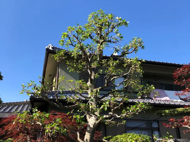 【16年の業歴】無料御見積り可☆小さなご相談もお気軽に☆損害保険加入済みサービスの画像