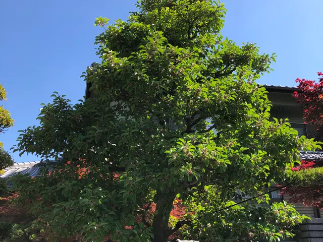 【16年の業歴】無料御見積り可☆小さなご相談もお気軽に☆損害保険加入済みサービスの画像