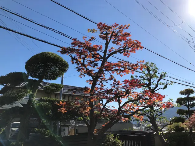 【16年の業歴】無料御見積り可☆小さなご相談もお気軽に☆損害保険加入済みサービスの画像