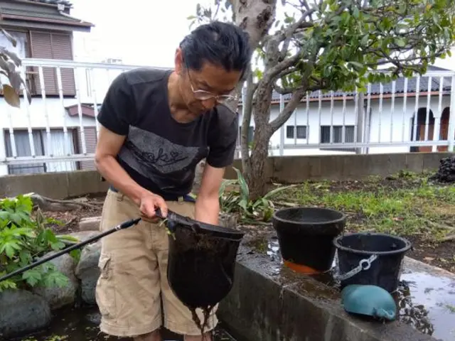 庭の池内の落ち葉清掃も行います。サービスの画像