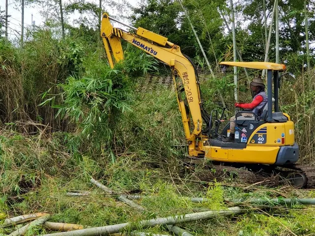 伸びすぎて手入れができない。手入れする人がいない。そんな方はうちにお任せ下さい！サービスの画像