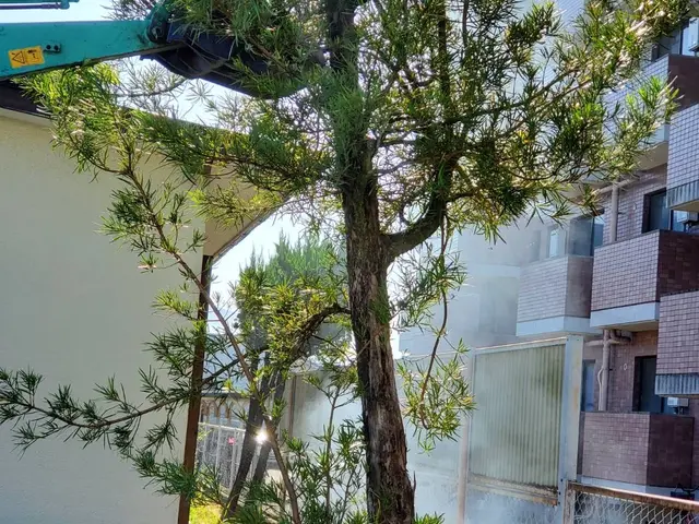 伸びすぎて手入れができない。手入れする人がいない。そんな方はうちにお任せ下さい！サービスの画像