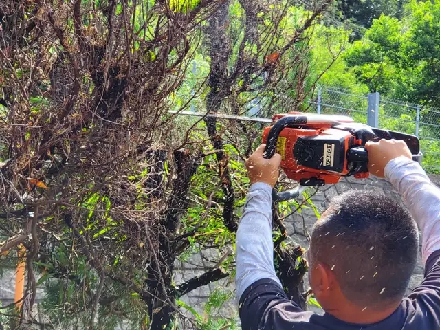 伸びすぎて手入れができない。手入れする人がいない。そんな方はうちにお任せ下さい！サービスの画像