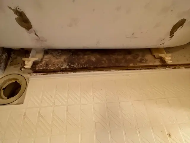 プロの技術でご満足いただけるように心を込めて作業いたしますサービスの画像