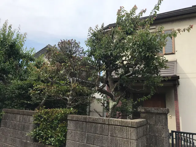 ◎駐車場代当社負担！サービスの画像