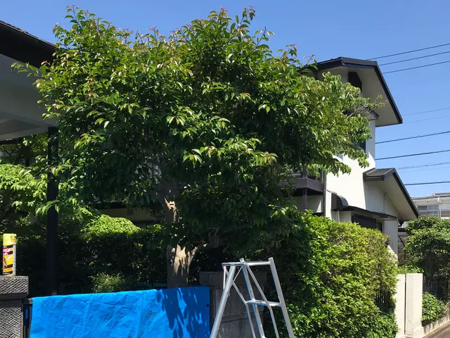 ◎駐車場代当社負担！サービスの画像