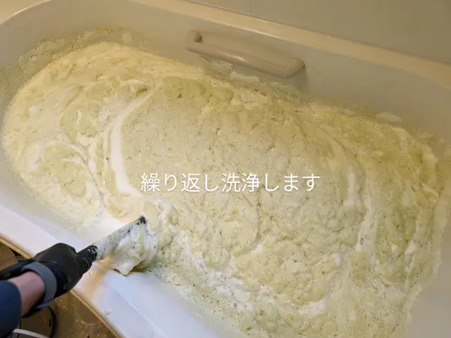 【風呂釜洗浄技士】による安心・適切な風呂釜洗浄サービスの画像