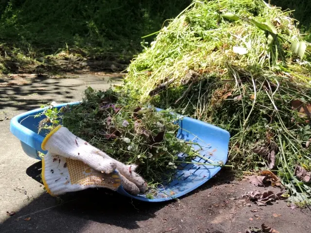 面倒な草むしり代行いたします！サービスの画像