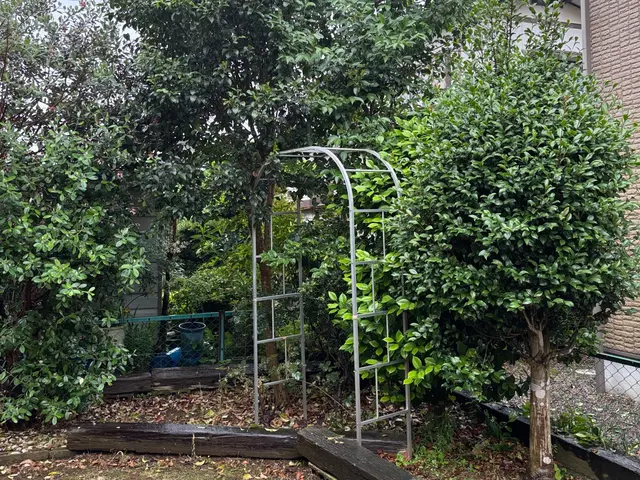 庭木1本から承ります！日曜祝日でも向かいます！サービスの画像