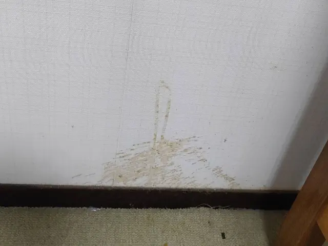 ◆年中無休・土日祝もご予約大歓迎◎チタンコートで、クリーニングではなく再生！サービスの画像