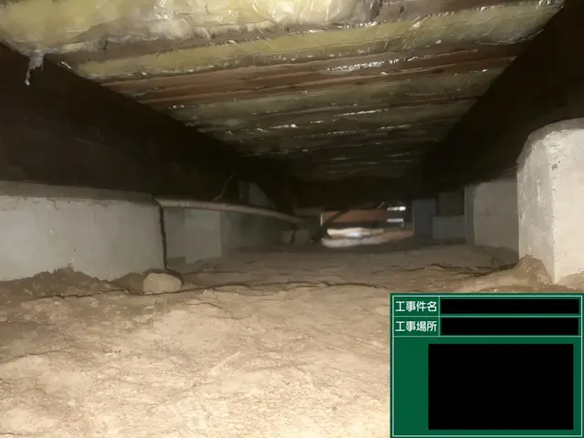 安心のシロアリ駆除・予防サービスサービスの画像