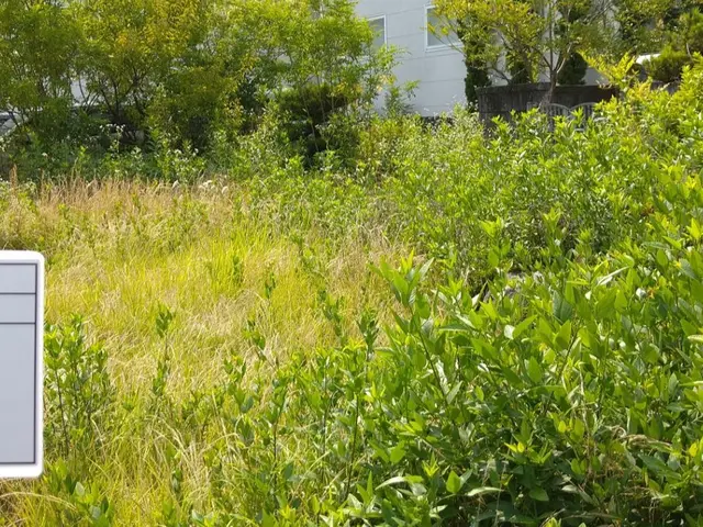 草刈・芝刈お任せください。。料金表はあくまで目安です。複数であれば値引します。サービスの画像