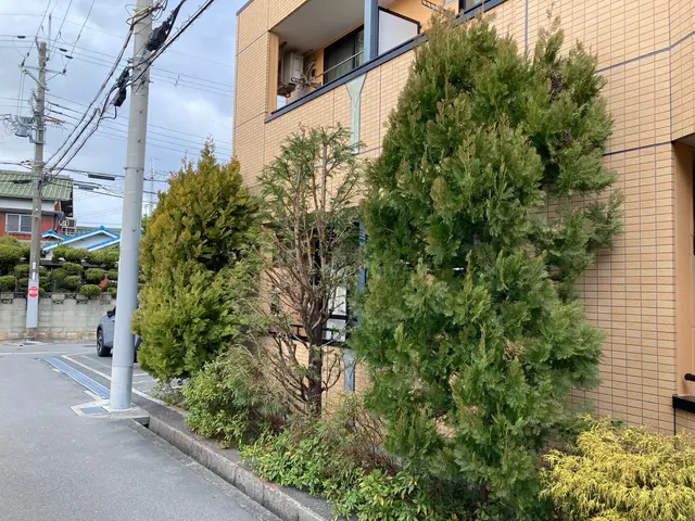 地域密着！低価格♩価格を抑えてスッキリ剪定！コスパ重視の方に最適！形よりコストサービスの画像