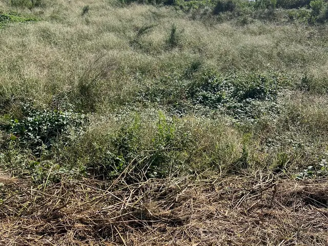 お客様に明るく丁寧な接客を心掛けています。サービスの画像