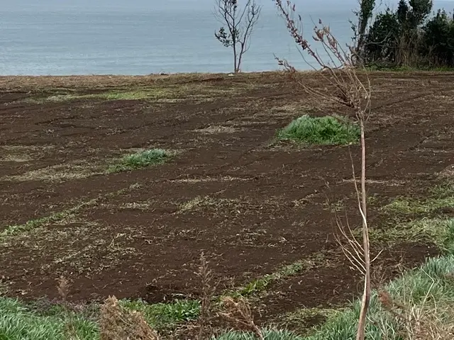 お客様に明るく丁寧な接客を心掛けています。サービスの画像