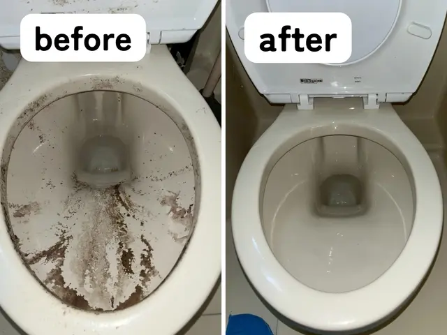 隅々までトイレをキレイにします！トイレの空気が変わります！サービスの画像