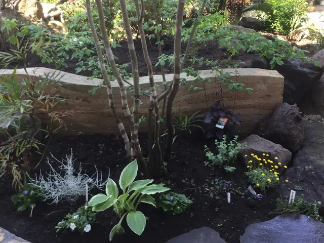 夫婦2人で丁寧な仕事を　 3月空きあり　是非お声下さいサービスの画像