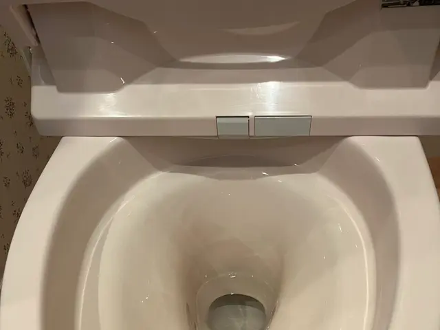 お引越しの時期！業者様、戸建、マンション対応！安心のクオリティでバッチリ綺麗に！サービスの画像