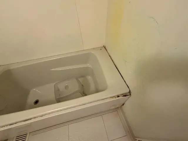 ☆大手清掃会社経験スタッフ☆赤ちゃん・ペットに安心な洗剤使用☆彡サービスの画像