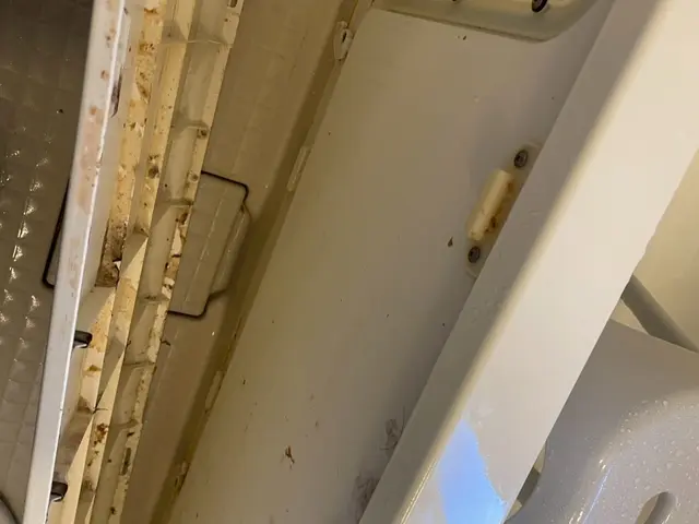 ☆大手清掃会社経験スタッフ☆赤ちゃん・ペットに安心な洗剤使用☆彡サービスの画像