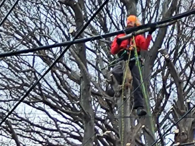 ◆地域密着店◎予約から施工まで100%自社対応◎アフターフォローも万全サービスの画像