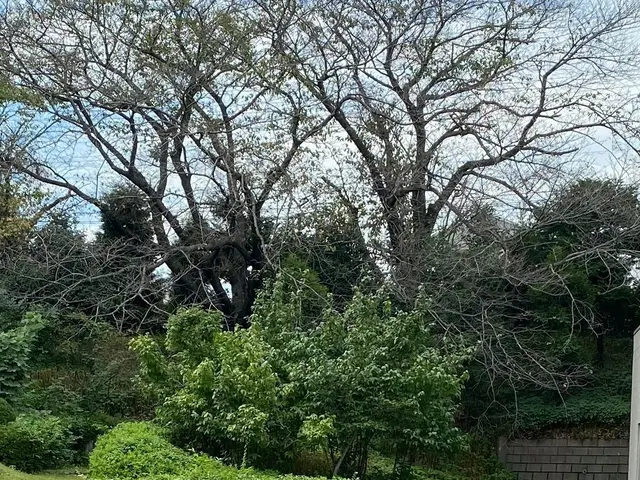 ◆地域密着店◎予約から施工まで100%自社対応◎アフターフォローも万全サービスの画像