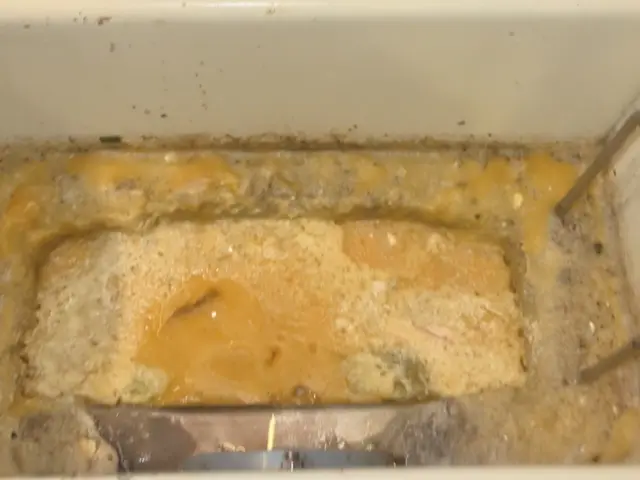 ロケットナウ導入で割引！人体と環境に優しい洗剤でグリスト清掃します！サービスの画像