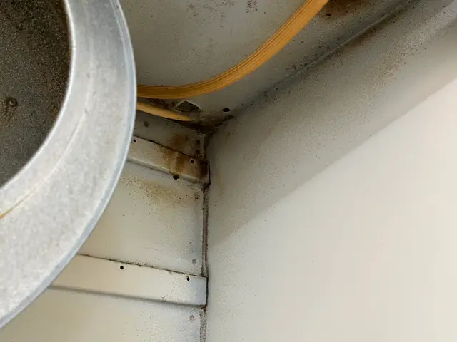 【夫婦で訪問可能◎】◆秋田県出身◆ハウスクリーニング士◆200件以上の作業実績サービスの画像