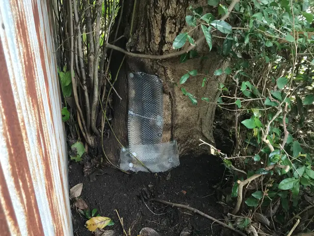 蜂駆除専門会社◎当日/翌日施工もお気軽にご相談ください/インボイス対応店サービスの画像