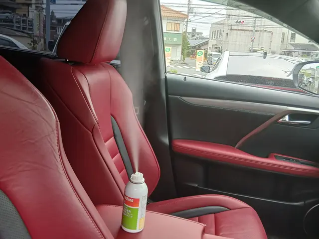 車内の嘔吐や糞尿、タバコの汚れ臭いを徹底洗浄サービスの画像