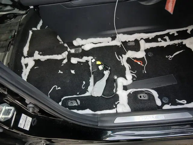 車内の嘔吐や糞尿、タバコの汚れ臭いを徹底洗浄サービスの画像