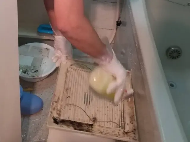 【滋賀】作業は女性スタッフのみ！　忙しいあなたに代わってお掃除、片付けを致しますサービスの画像