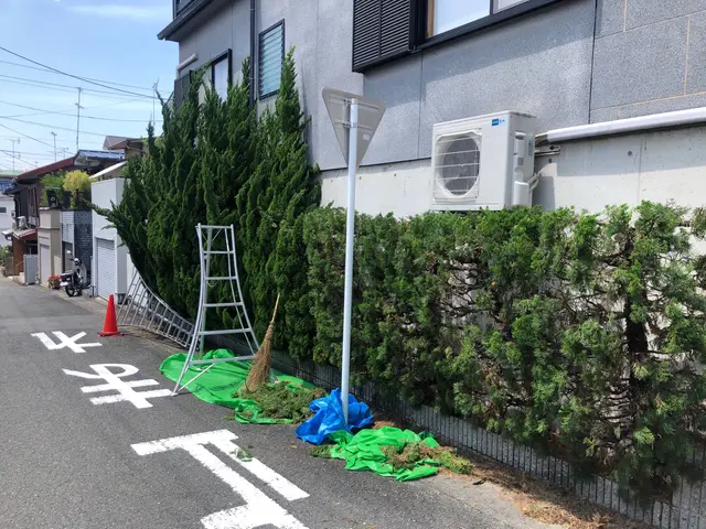 京都五条の植木屋です◆京都自然風剪定お試し致ければ幸いです◆光入る柔らかい空間へサービスの画像