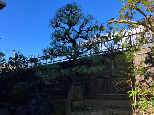 京都五条の植木屋です◆京都自然風剪定お試し致ければ幸いです◆光入る柔らかい空間へサービスの画像
