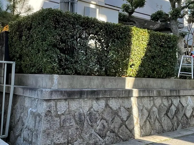 【女性スタッフ同行可能】大手での作業経験あります◉サービスの画像