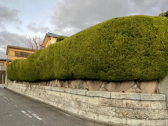 【女性スタッフ同行可能】大手での作業経験あります◉サービスの画像