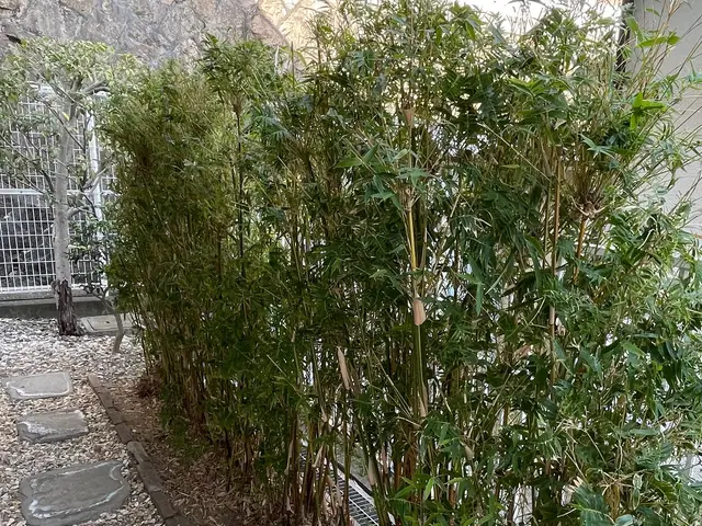 【女性スタッフ同行可能】大手での作業経験あります◉サービスの画像