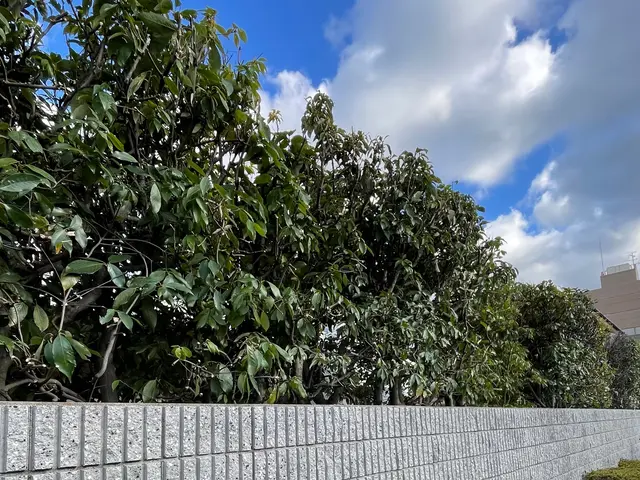 【女性スタッフ同行可能】大手での作業経験あります◉サービスの画像