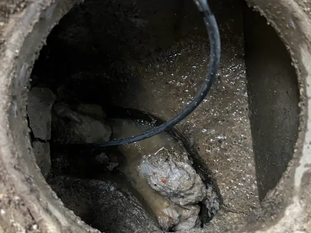 戸建て丸ごと安心！高圧洗浄による排水管詰まり解消パックサービスの画像