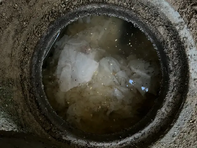 戸建て丸ごと安心！高圧洗浄による排水管詰まり解消パックサービスの画像