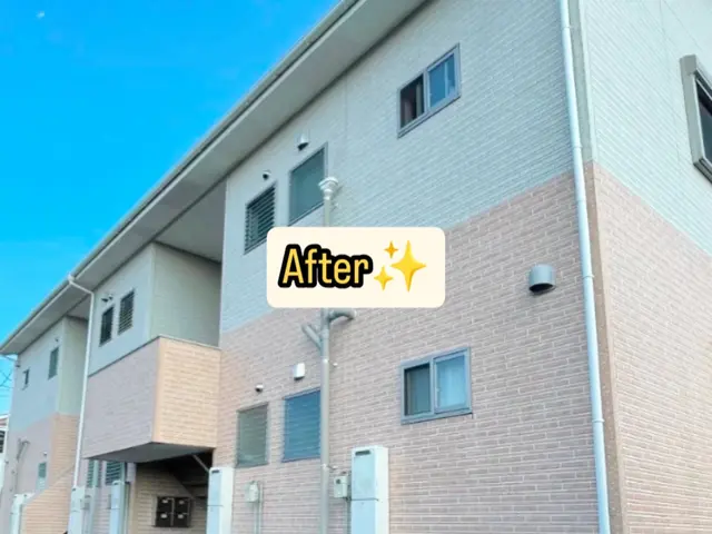 【外壁を傷めない植物由来洗剤】苔・黒ずみを解消！車などの移動不要◎サービスの画像